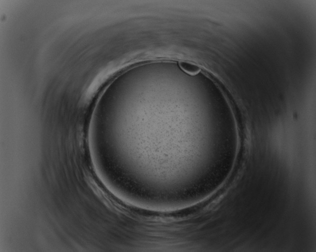 X0000051861499200507012327