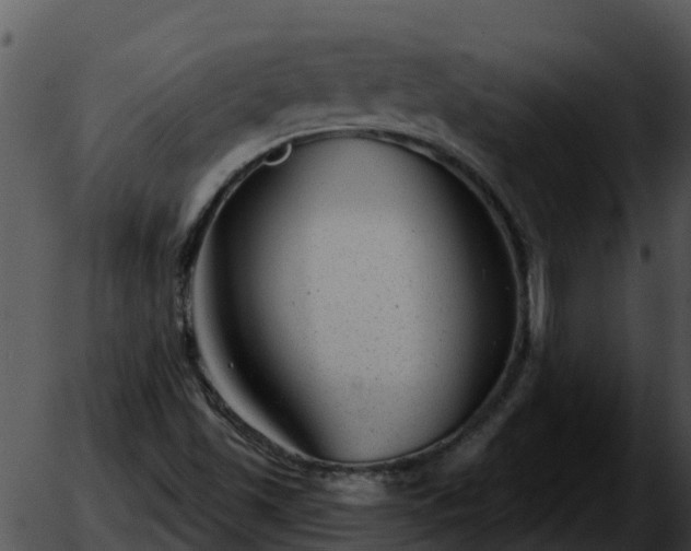 X0000051861501200507012327