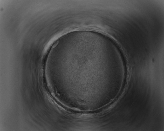 X0000051861506200507012327