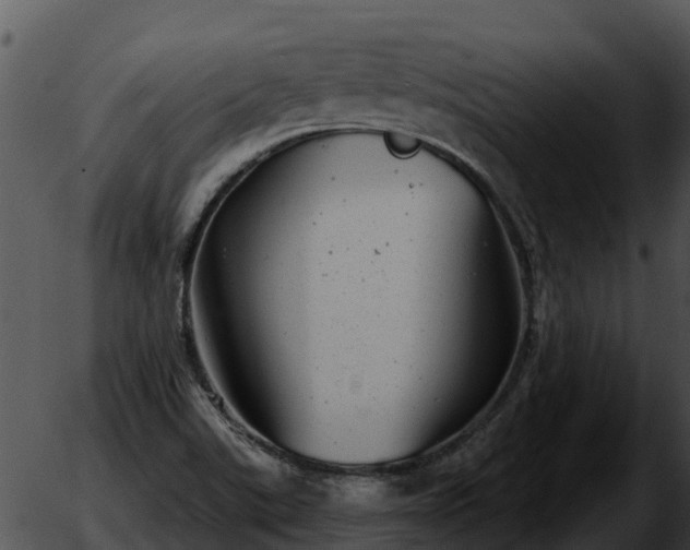 X0000051861507200507012327