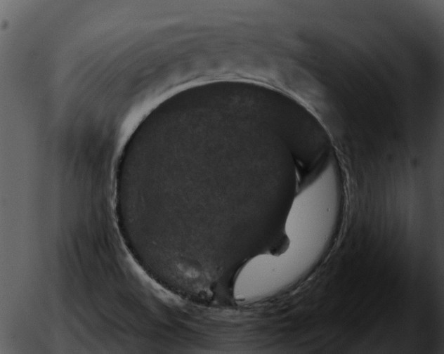 X0000051861508200507012327