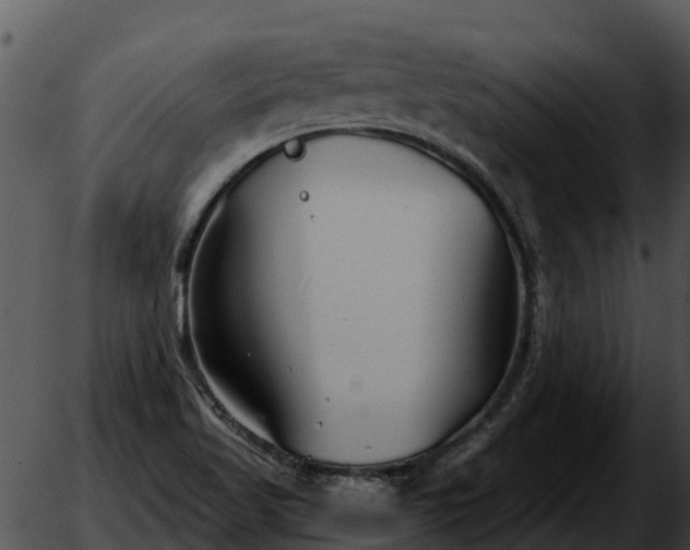 X0000051861509200507012327