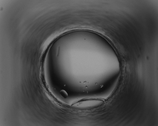 X0000051861511200507012327