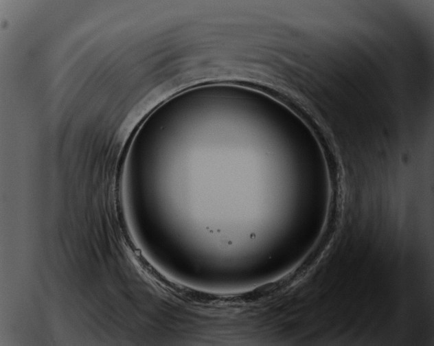 X0000051861513200507012327