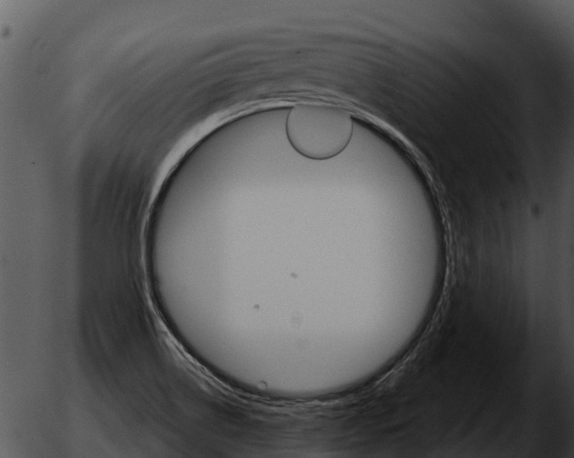 X0000051861514200507012327