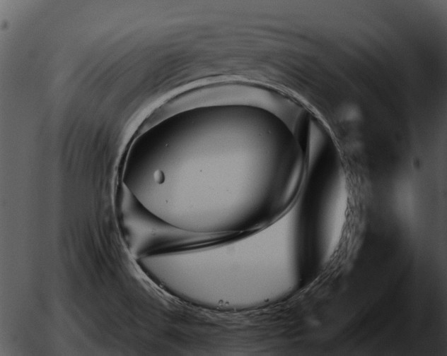 X0000051861516200507012327