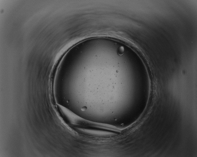 X0000051861517200507012327