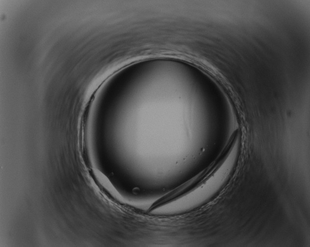 X0000051861520200507012327