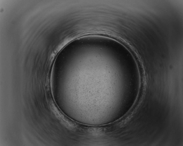 X0000051861521200507012328