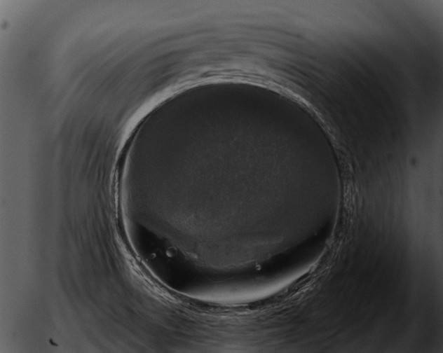 X0000051861522200507012328