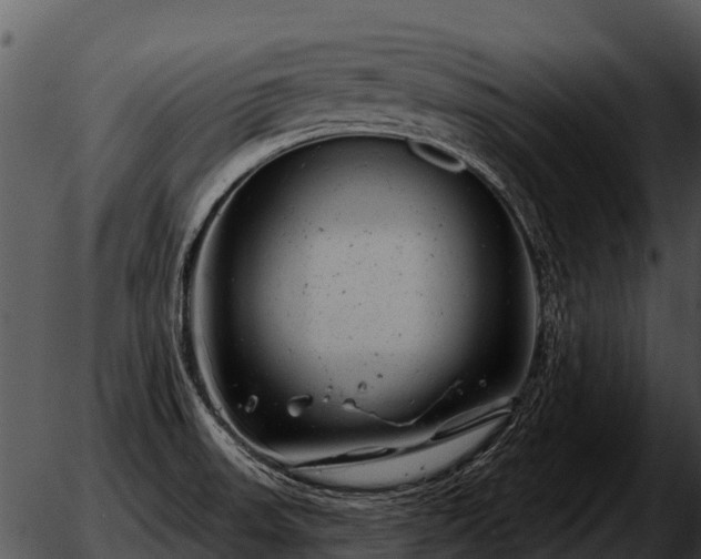 X0000051861523200507012328