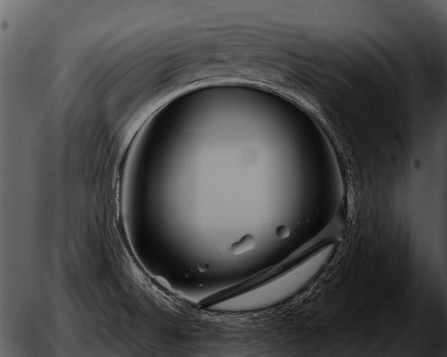 X0000051861524200507012328