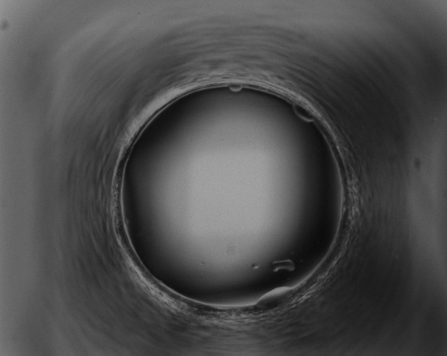 X0000051861525200507012328