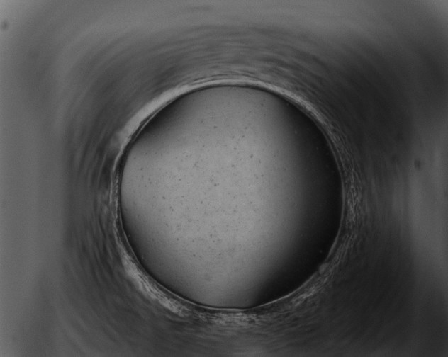 X0000051861526200507012328