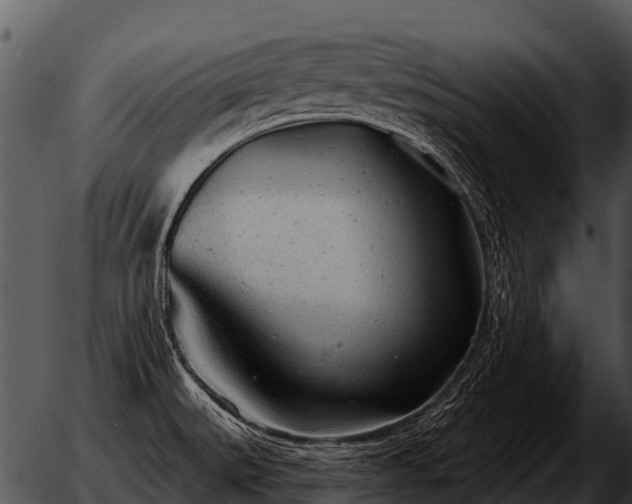 X0000051861527200507012328