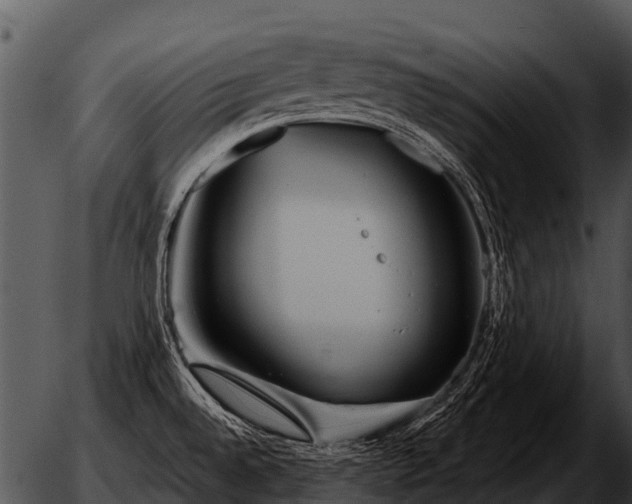 X0000051861528200507012328