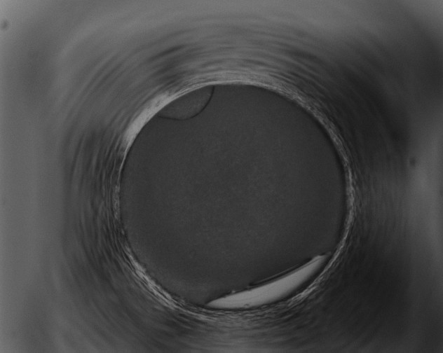 X0000051861529200507012328