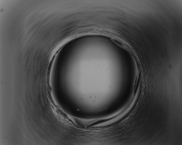 X0000051861530200507012328