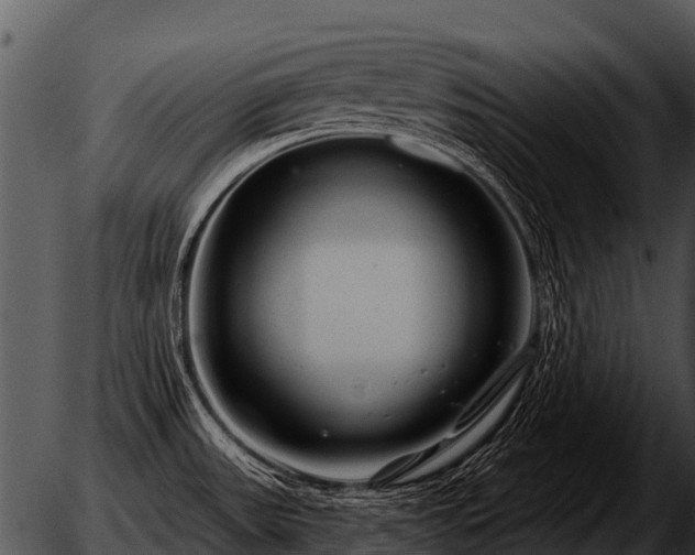 X0000051861531200507012328