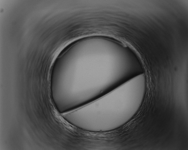 X0000051861532200507012328