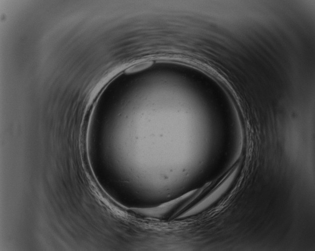 X0000051861533200507012328