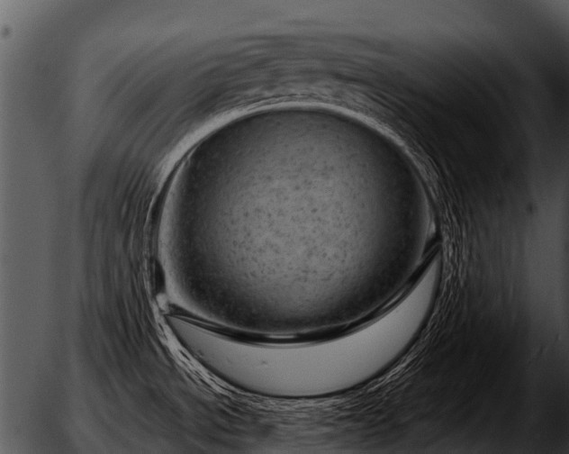 X0000051861534200507012328