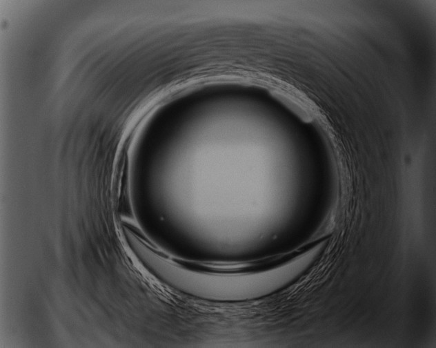 X0000051861536200507012328