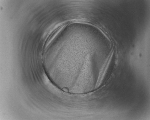 X0000051860002200507081834