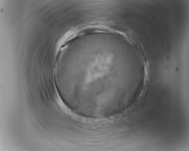 X0000051860003200507081834