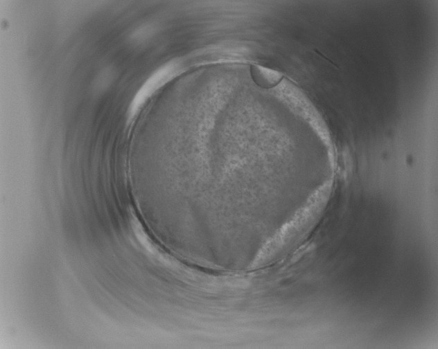 X0000051860004200507081834