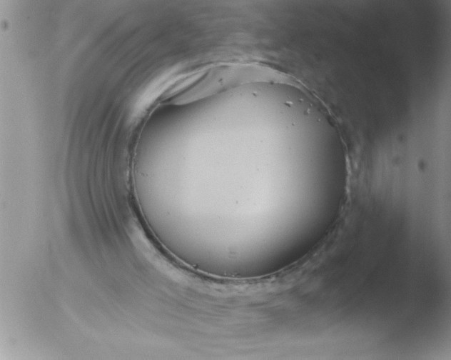 X0000051860005200507081834