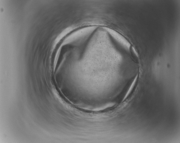 X0000051860008200507081834