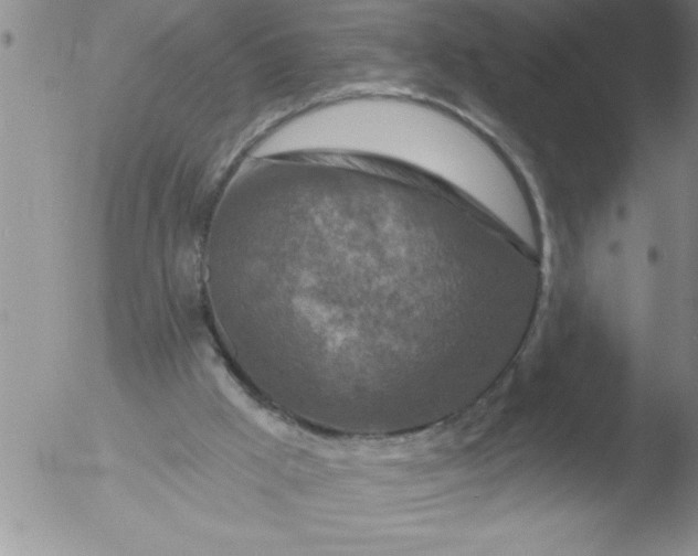 X0000051860009200507081834