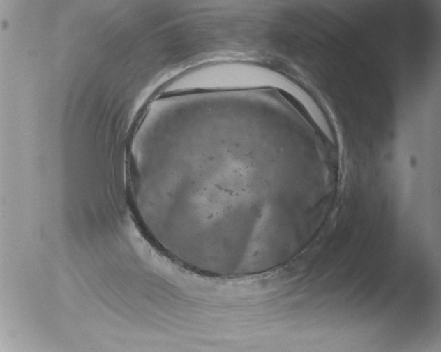 X0000051860011200507081834