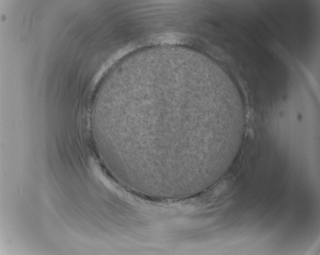 X0000051860012200507081834