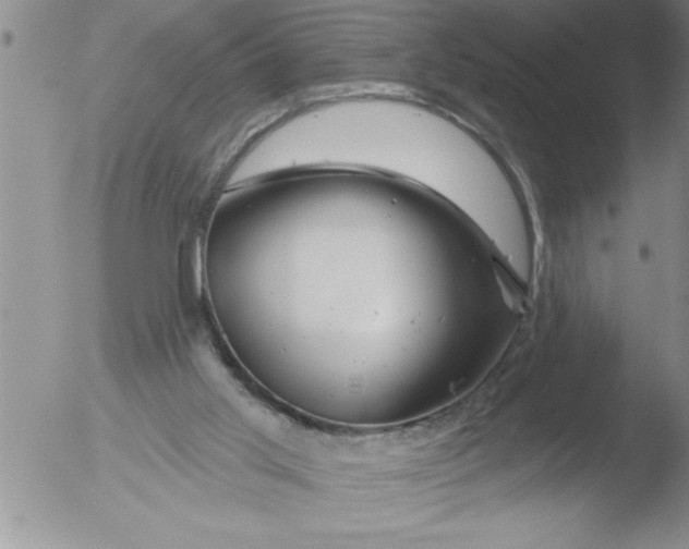 X0000051860013200507081834