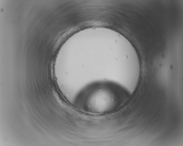 X0000051860014200507081834