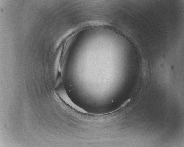 X0000051860015200507081834