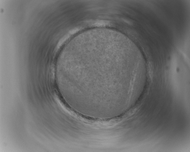 X0000051860016200507081834