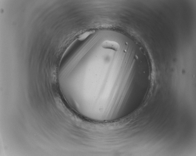 X0000051860017200507081834