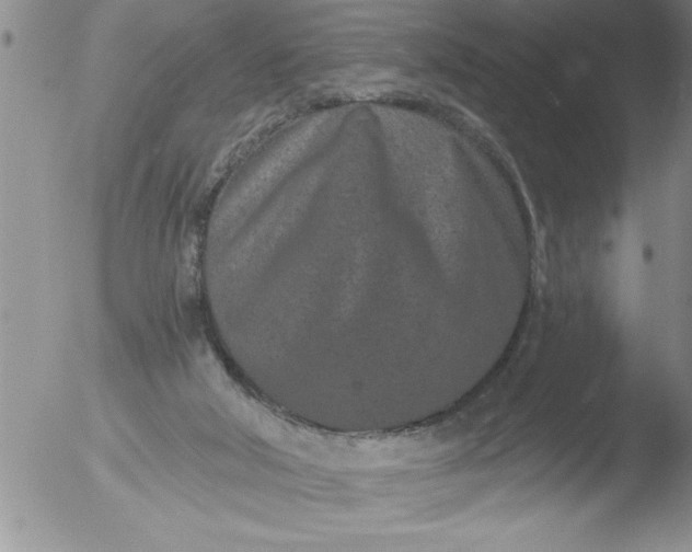 X0000051860018200507081834