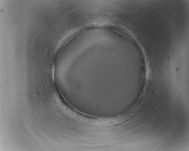 X0000051860019200507081834