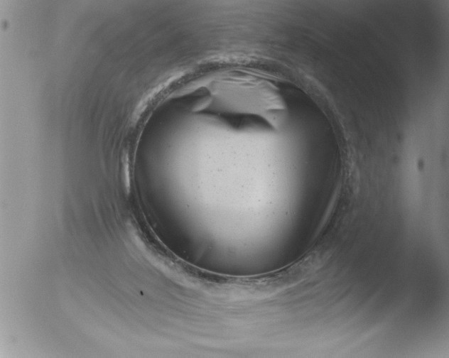 X0000051860020200507081834