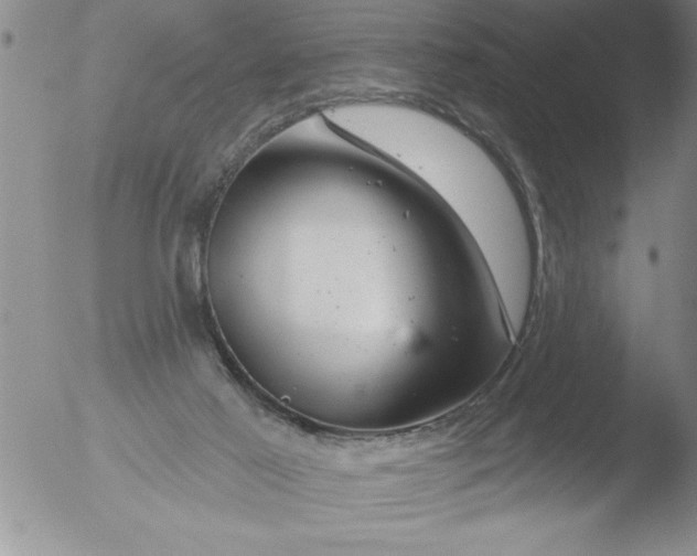 X0000051860021200507081834