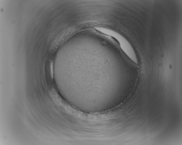 X0000051860022200507081834