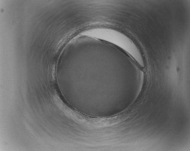 X0000051860023200507081834