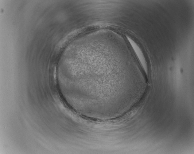 X0000051860024200507081834