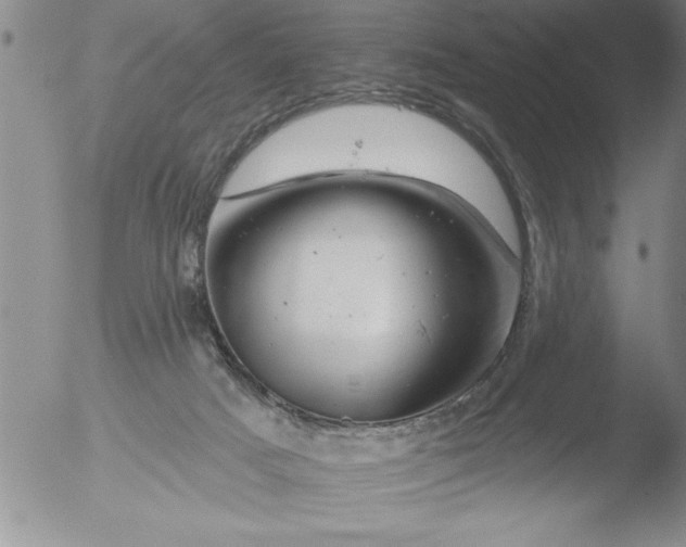 X0000051860025200507081834