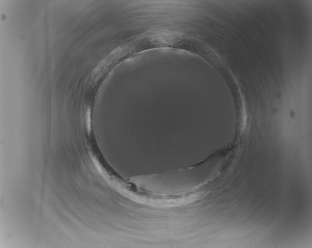 X0000051860027200507081834