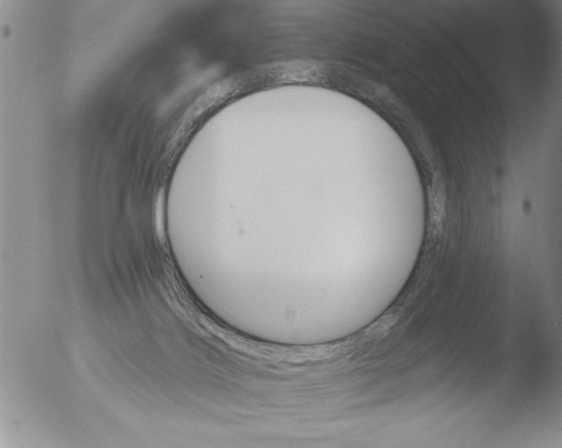 X0000051860028200507081834